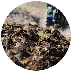 Soil Cultivation