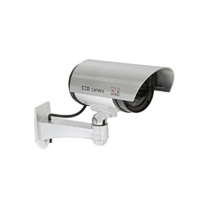Surveillance Cameras