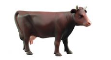 Cow 1:16