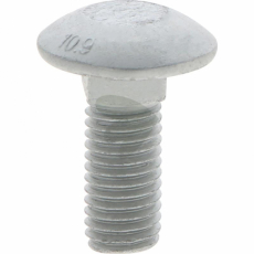 Screw M12x30