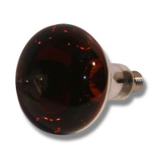Light bulb Economy IR 250W