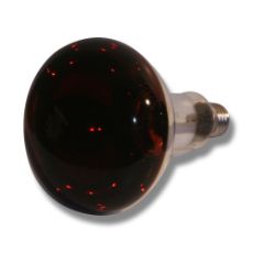 Light bulb Economy IR 150W