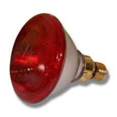 Light bulb Economy PAR 100W