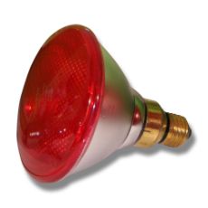Light bulb Economy PAR 175W