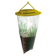 Fly-City wasp trap