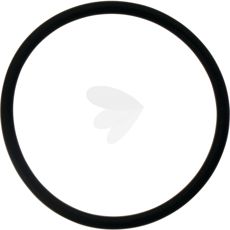 Sealing ring sight glass