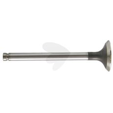 Exhaust valve