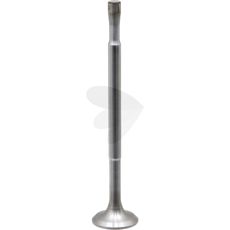 Inlet and outlet valve
