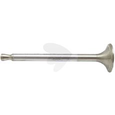Intake valve