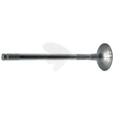 Intake valve