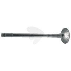 Exhaust valve
