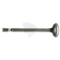 Intake valve