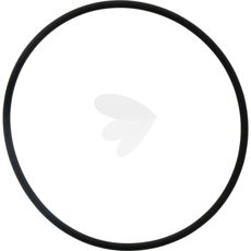 Sealing ring sealing plug - 01161643