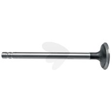 Exhaust valve