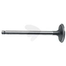Intake valve
