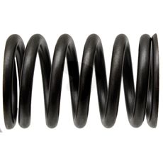 Valve spring
