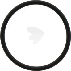 O-ring lift piston - X548958473000
