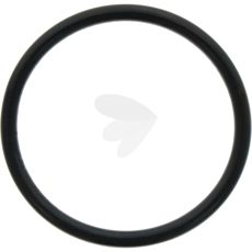 O-ring lift piston - X548953066000