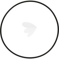 O-rings cover plate rear - X557177666000
