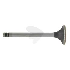 Intake valve