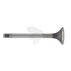 Exhaust valve
