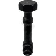 Connecting rod screw