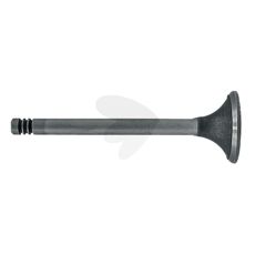 Intake valve