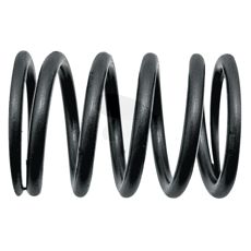 Valve spring