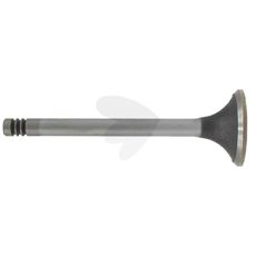 Intake valve