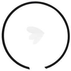 Snap ring