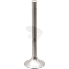Intake valve