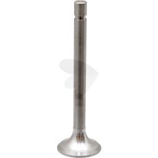 Exhaust valve
