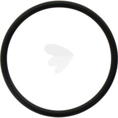 Sealing ring for angle drive - X548913666000