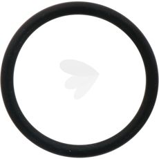 O-ring lifting shaft - X548933866000