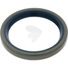 Sealing ring lifting shaft