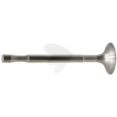Intake valve
