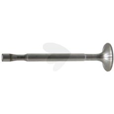 Exhaust valve