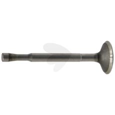Intake valve