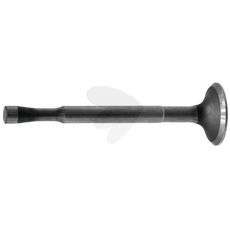 Exhaust valve