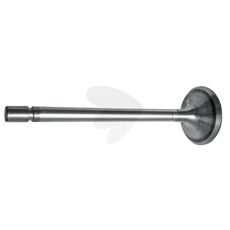 Intake valve