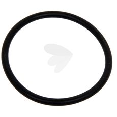 Gasket Thermostat housing