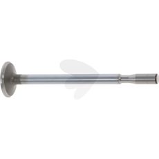 Intake valve