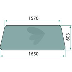 Windshield