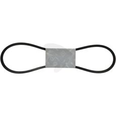 V-belt