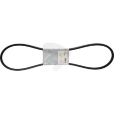V-belt