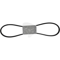 V-belt