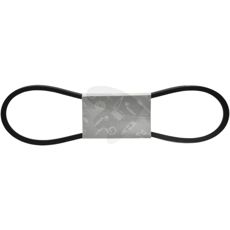 V-belt
