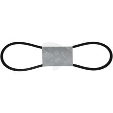 V-belt