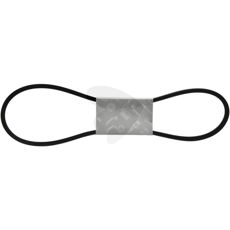 V-belt