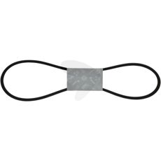V-belt